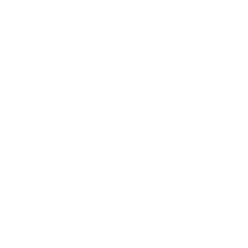 DISAO Studio Logo